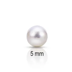 5mm Premium Japanese Akoya Add A Pearl