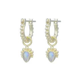 Avery Gold Mini Hoop Earrings