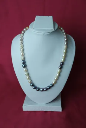 Multicolor oval shape single line big size Fresh Water Cultured Pearl Necklace.