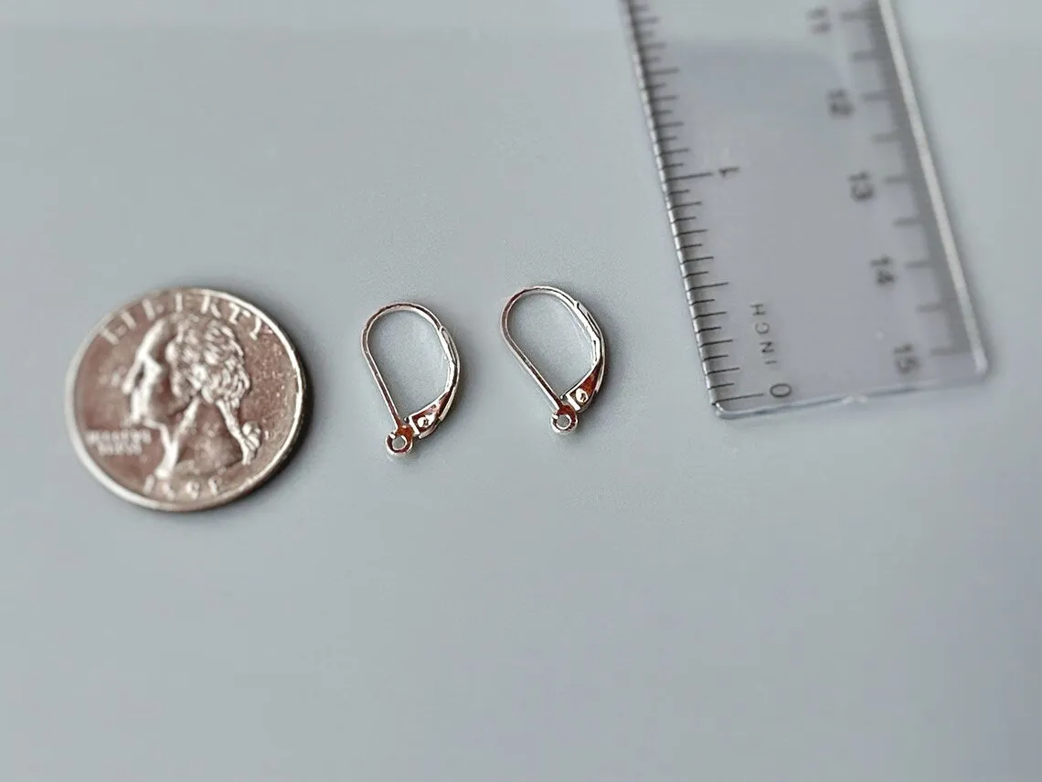 Smooth Moonstone Dangle Earrings